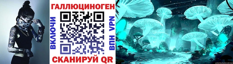 где купить наркотик  KRAKEN как войти  Псилоцибиновые грибы Psilocybe  Алексин 