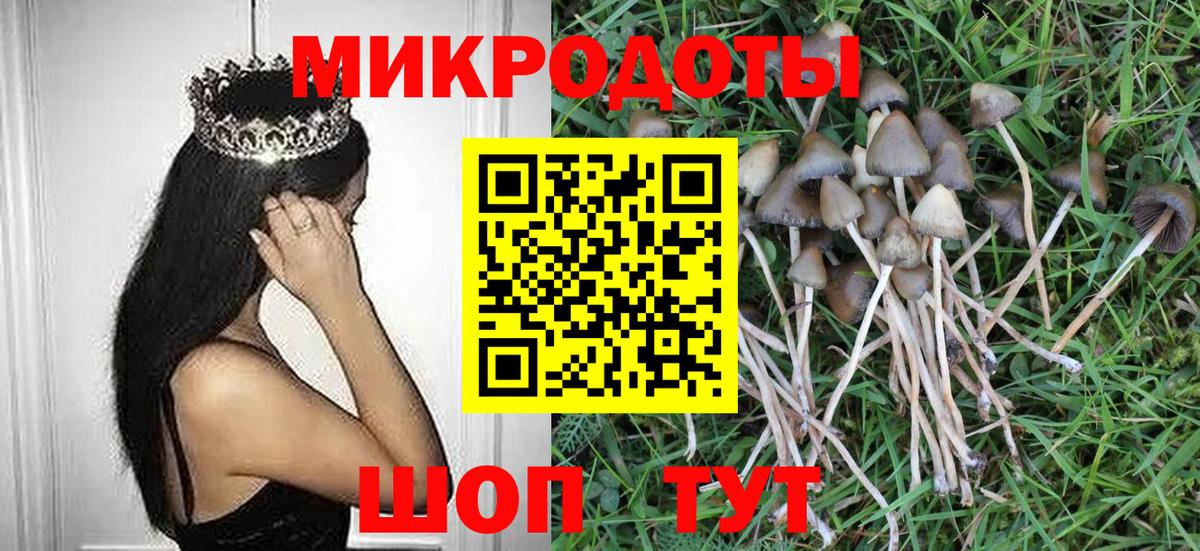 Алексин  Псилоцибиновые грибы Cubensis  Вход с VPN 